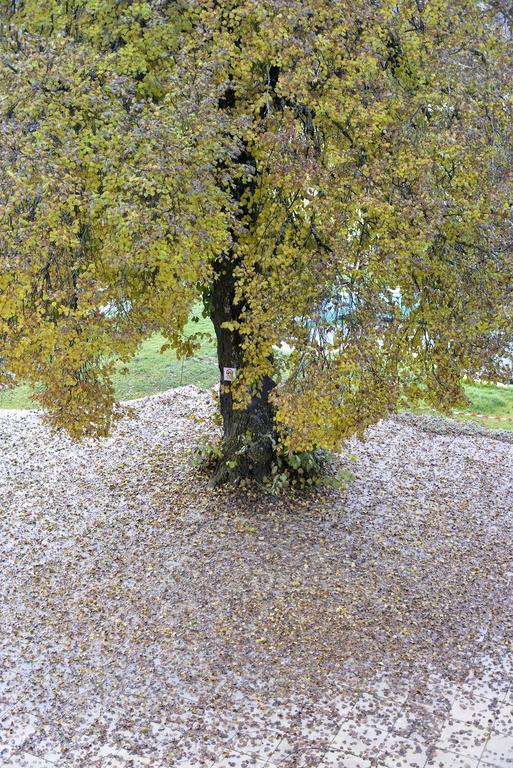 Saint-Pons  L'Escale En Ubaye B&B 외부 사진
