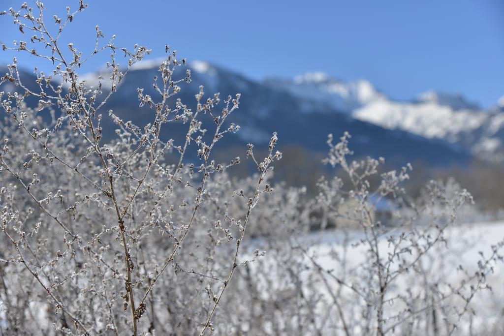 Saint-Pons  L'Escale En Ubaye B&B 객실 사진