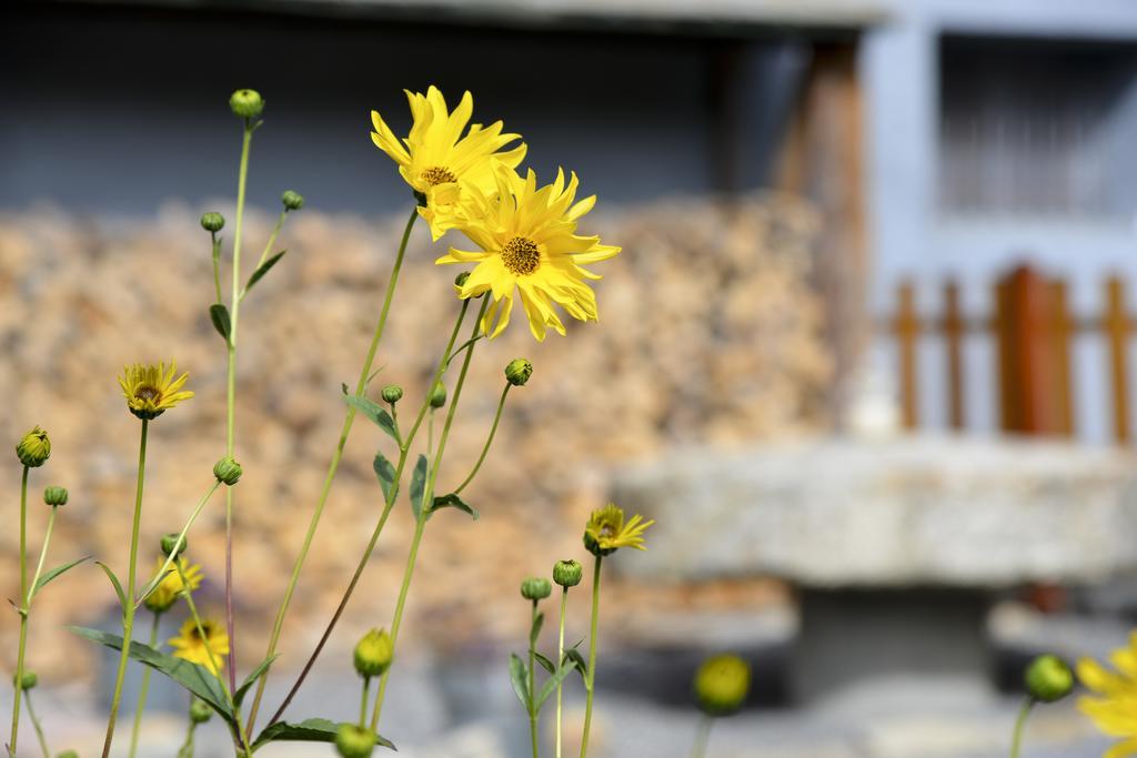 Saint-Pons  L'Escale En Ubaye B&B 외부 사진